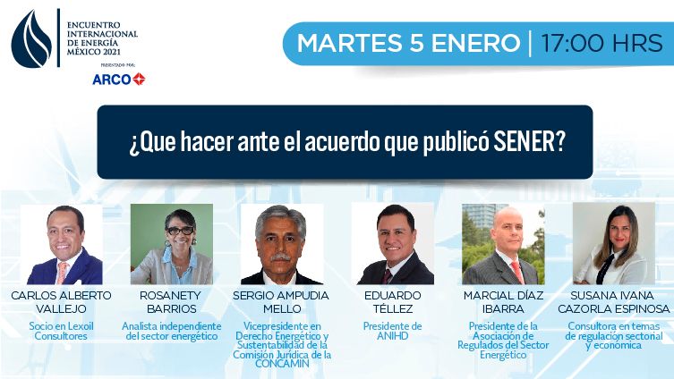 Panel “¿Qué hacer ante el acuerdo que publicó SENER?”
