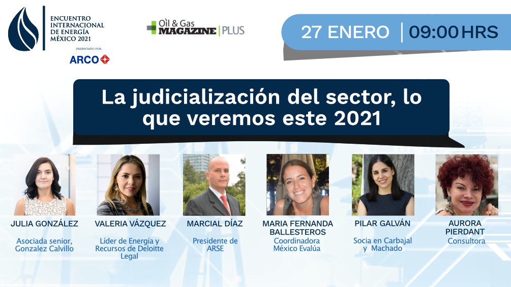 Participación en el Panel “La judicialización del sector, lo que veremos este 2021”