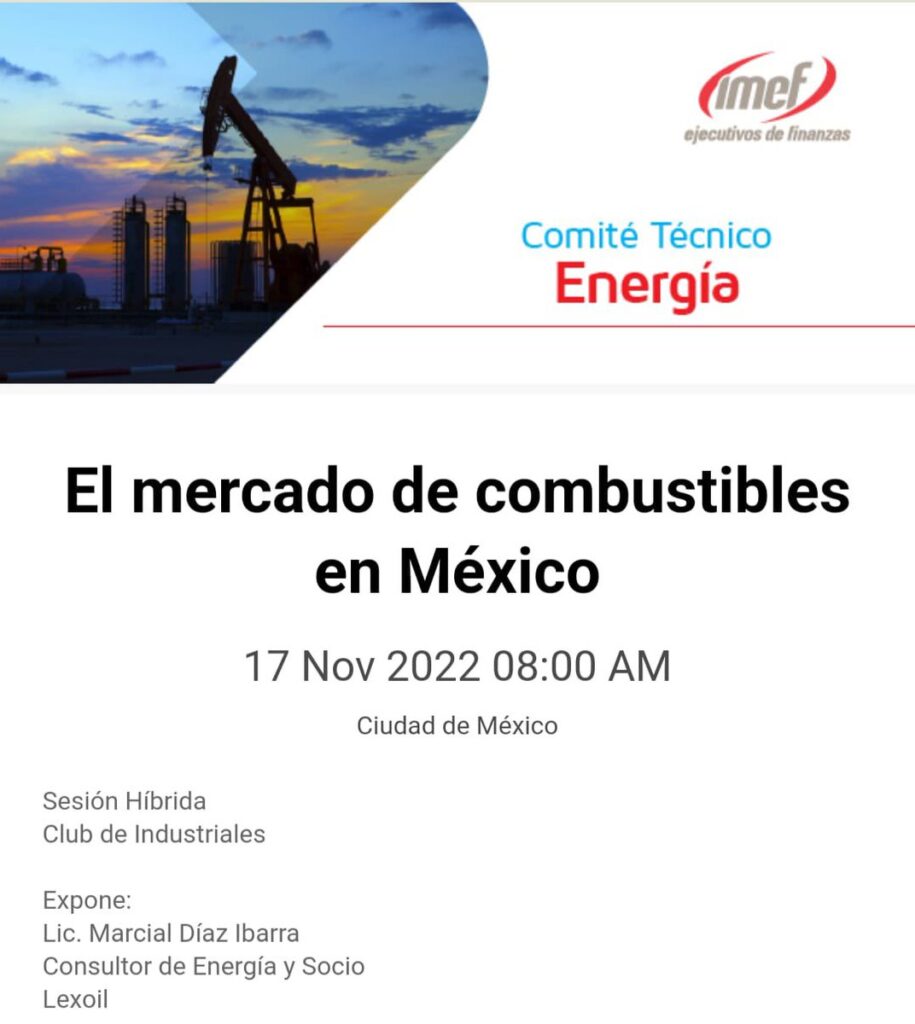Ponencia ante el Comité Técnico de Energía del IMEF